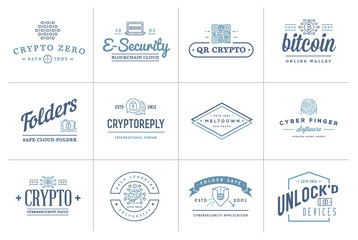 Set of Vector Cyber Security Identity Badges and Signs Can be used as Logotype