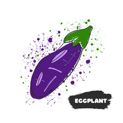 Vector illustration of hand drawing eggplant on white background.