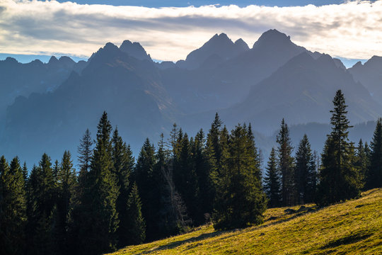 Panorama Tatr Wysokich z Rusinowej polany