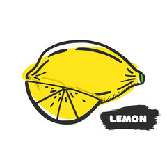 Vector illustration of hand drawing lemon on white background.