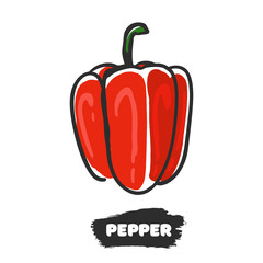 Vector illustration of hand drawing pepper on white background.