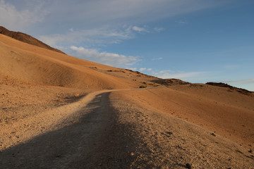 On the island of Tenerife / На острове Тенерифе