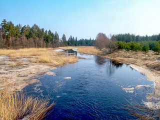 Spring in the forest. Spring waters