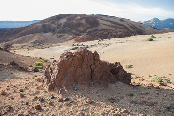 На острове Тенерифе / On the island of Tenerife