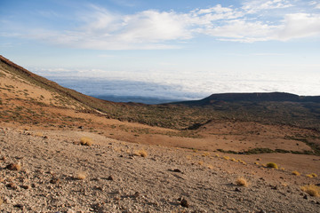 На острове Тенерифе / On the island of Tenerife