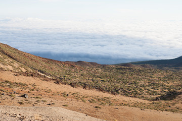 На острове Тенерифе / On the island of Tenerife