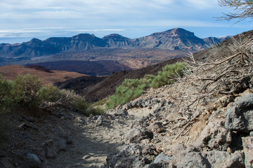 На острове Тенерифе / On the island of Tenerife