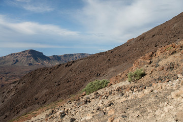 На острове Тенерифе / On the island of Tenerife