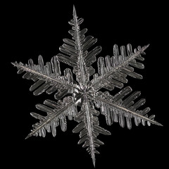 Extreme magnification - Real snowflake isolated on black background