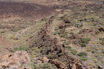 На острове Тенерифе / On the island of Tenerife