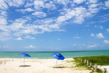  Umbrellas on sand beach