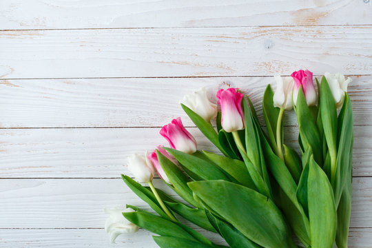 Pink adn White Tulips on white wooden background