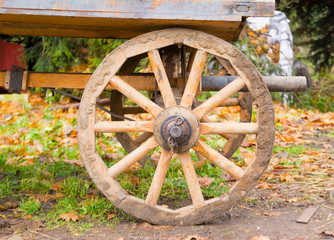 Fototapeta na wymiar Wheel of an old wagon close-up outdoors.