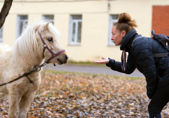 Girl talking to pony holding out her hand.