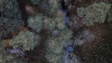 forest autumn summer blue sky clouds water road nature