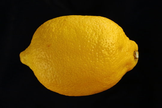 Zitrone vor schwarzem Hintergrund