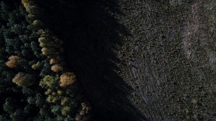 forest autumn summer blue sky clouds water road nature