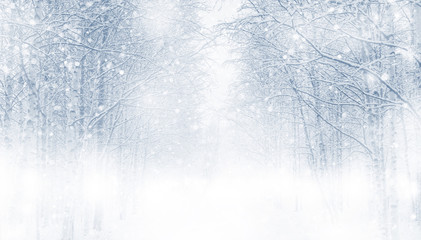 Winterhintergrund mit schneebedeckten Bäumen im Wald