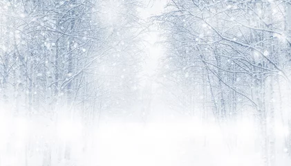 Foto op Plexiglas Winter Winterachtergrond met besneeuwde bomen in het bos