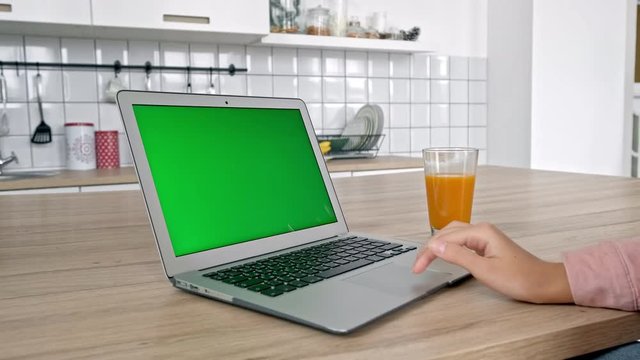 Attractive young woman is using laptop, eating apple in modern kitchen, female is looking at pc screen, biting green fruit with cute smile, standing in light apartment. Concept: interior