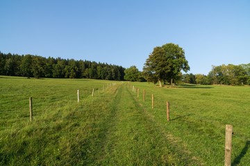 Wooden fence on the farm. Czech Republic