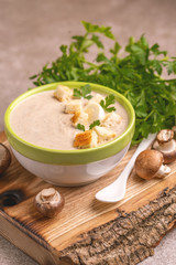 Fototapeta na wymiar Tasty pureed mushroom soup in clay bowl with ingredients