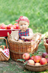 Girl with Apple in the Apple Orchard. Beautiful Girl Eating Organic Apple in the Orchard. Harvest Concept. Garden, Toddler eating fruits at fall harvest.