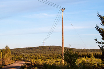 Electric wires on poles through clear cut landscape