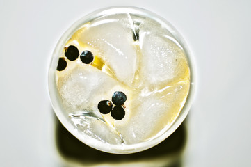 Gin tonic server with lemon ice and juniper berries - Powered by Adobe