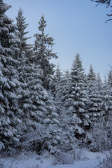 Vier Jahreszeite, Frühling, Sommer, Herbst, Winter