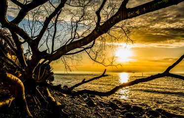 Sonnenuntergang am Meer