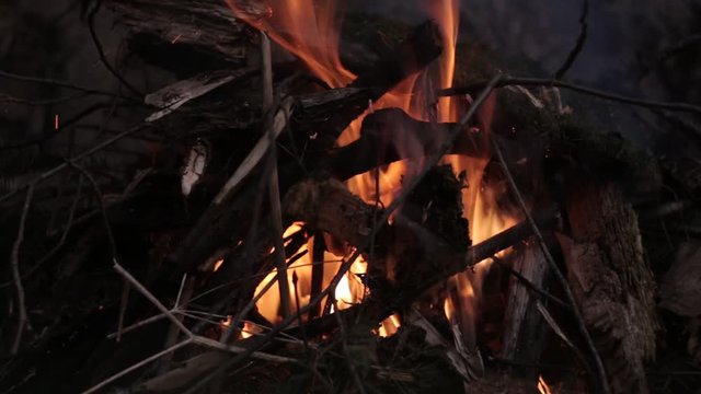 Костёр ночью в лесу