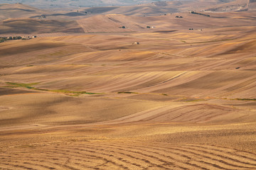 Fototapeta premium Poggoirsini