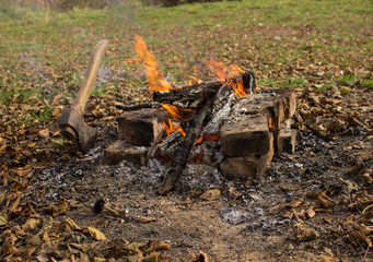 fire in the forest