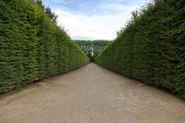 path in the garden of Versailles