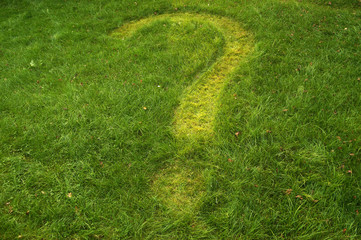 Green lawn. Question mark mowed in the lawn.