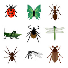 Insekten Set isoliert