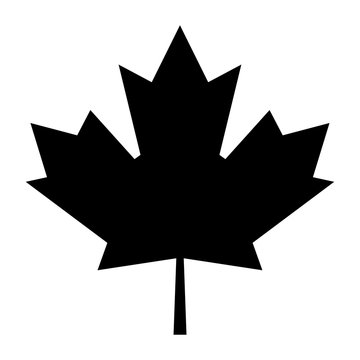 Minimalist maple leaf icon. Black silhouette. Isolated on white