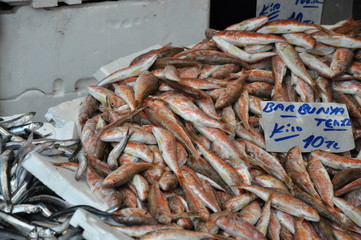 MN_Fischmarkt