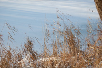 MN_Winterlandschaft