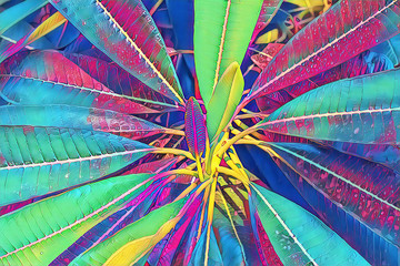 Colorful leafy tropical plant closeup. Decorative palm tree neon digital illustration. Green leaves natural ornament.