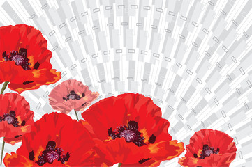 Red poppies on a background of gray rays, realistic painted in vector, scarlet flower, solemn, bright, symbol of memory,