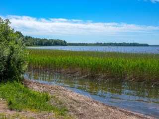 Large lake in Pskov region