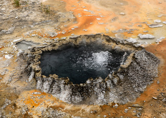 geyser Yellowstone