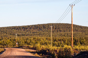 Road in a clear-cut landscape, a former forrest, only electric wires on poles rising tall.