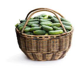 Big basket full of fresh cucumbers isolated on white
