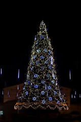 Beautiful shining christmas tree In Vinnytsia, Ukraine