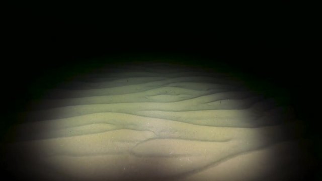 Unterwasserlandschaft 21