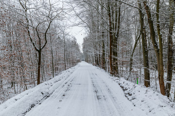 Obraz premium Weg durch einen Winterwald