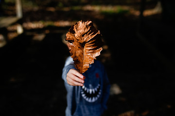 Small Child Holding Leaf In Front Of Face